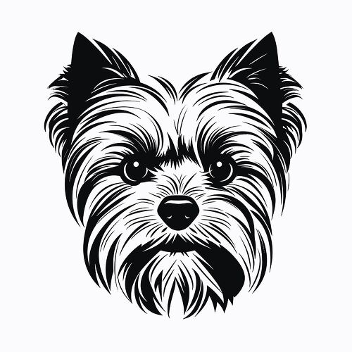 Outline of a Yorkshire Terrier with adorable features