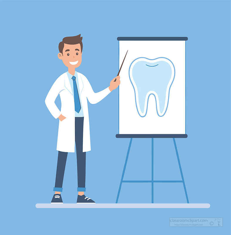 Professional dentist explaining tooth structure using presentation board