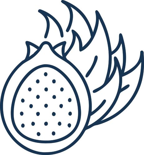 Simple line icon of dragon fruit showcasing its unique features.