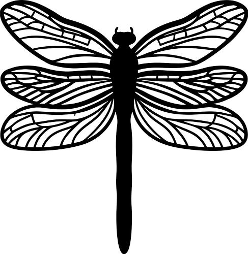 Detailed outline of a dragonfly showing its wings clearly