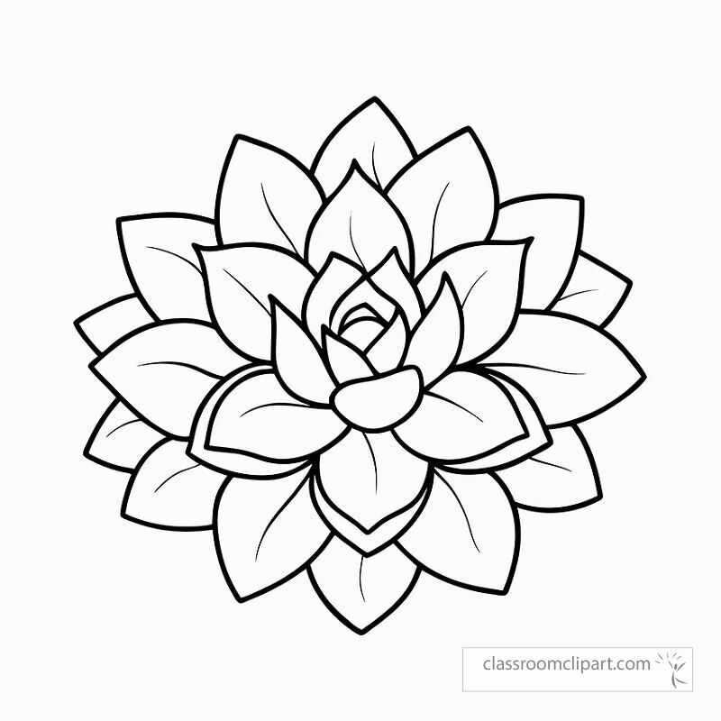 Detailed black outline of an echeveria succulent designed for coloring activities. Perfect for art projects and creative relaxation featuring layered leaves and a distinct shape.