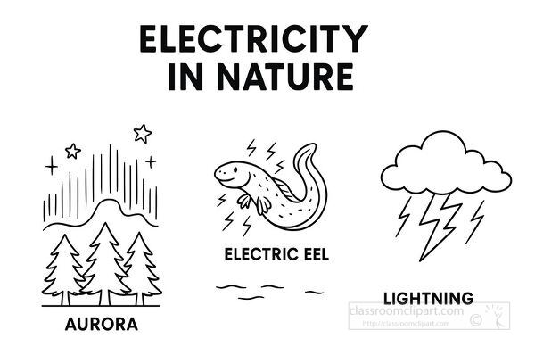 Black and white educational illustration of electricity in nature including aurora, electric eel, and lightning. Perfect for coloring pages and science worksheets