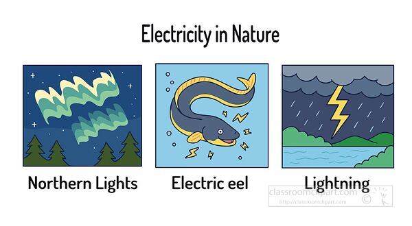 Educational clipart showing examples of electricity in nature including northern lights, an electric eel, and a lightning storm. Designed for science lessons and classrooms.