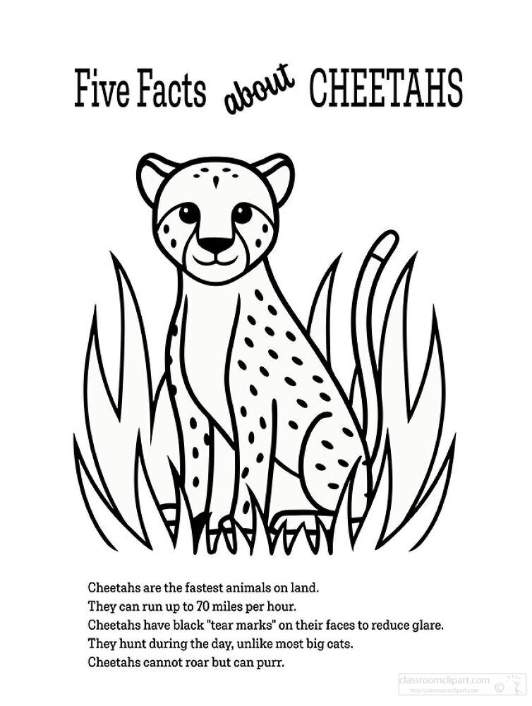 A cartoon-style illustration of a cheetah sitting in grass, accompanied by five facts about cheetahs. The facts highlight their speed, hunting habits, and unique features.