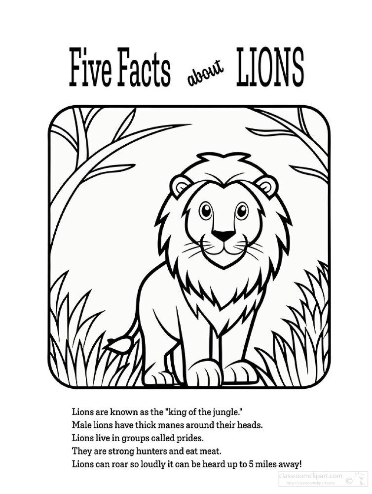 Five Facts About Lions Illustration Printable