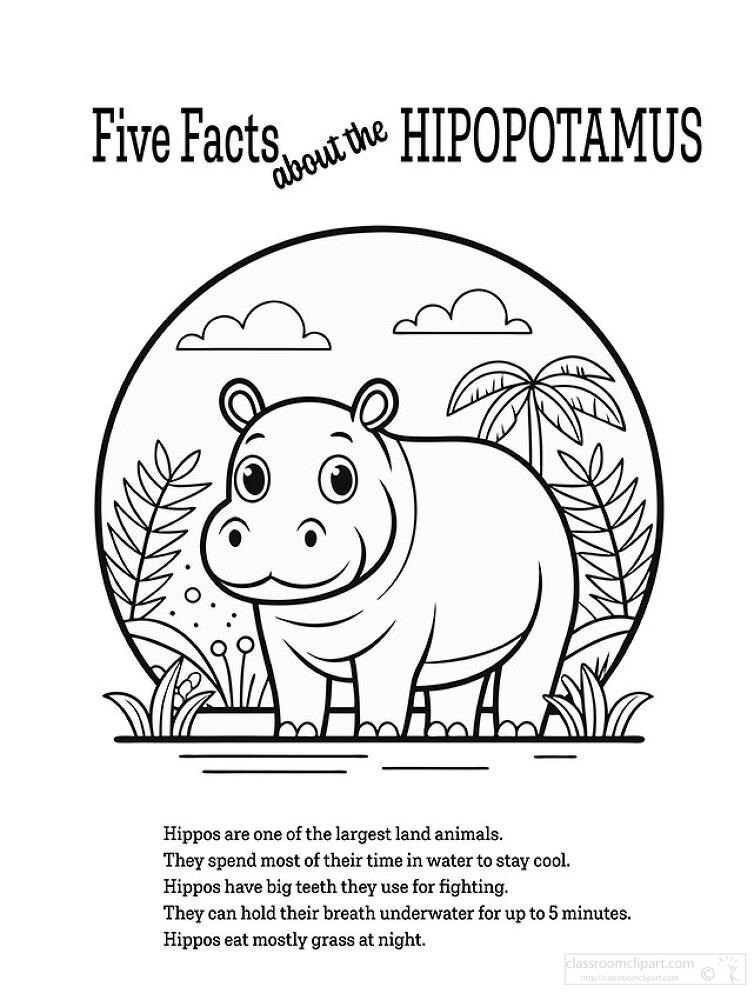 Five Facts About the Hippopotamus Coloring  Printable