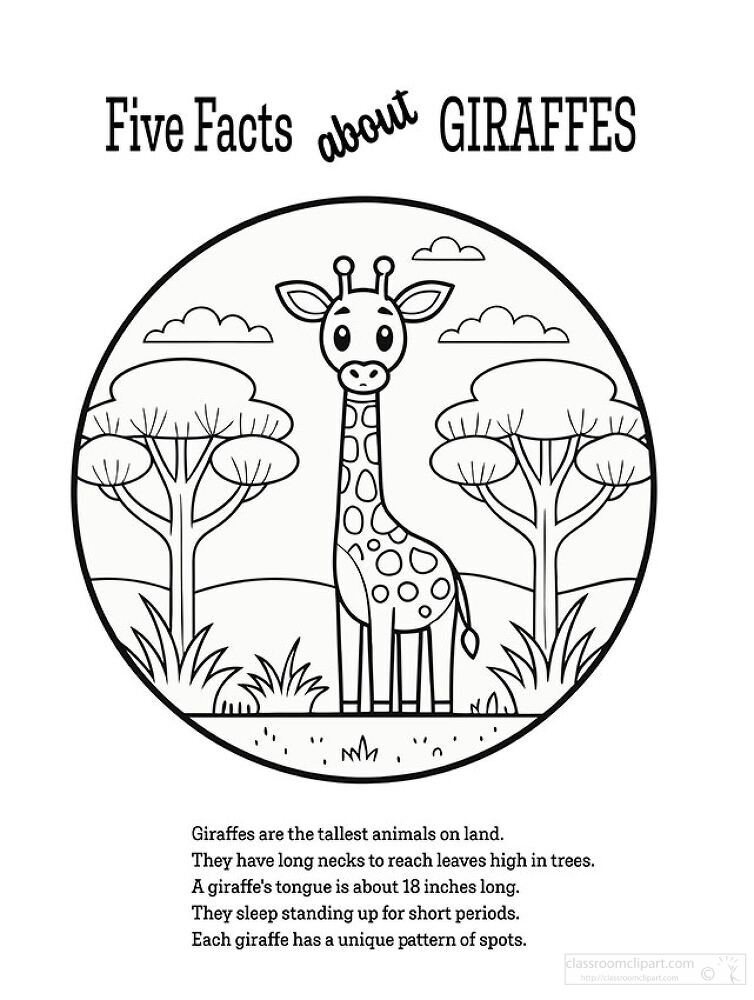 Five Fun Facts About Giraffes Coloring  Printable