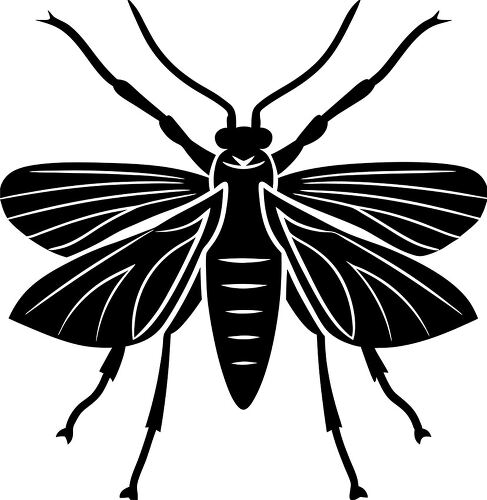 Detailed black silhouette of a fly with large wings