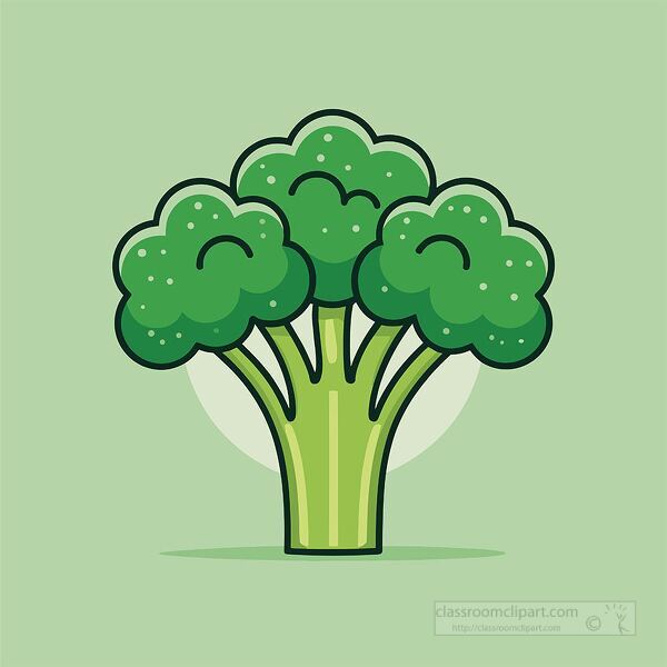 imple vector illustration of a green broccoli with fresh stems and florets on a light background
