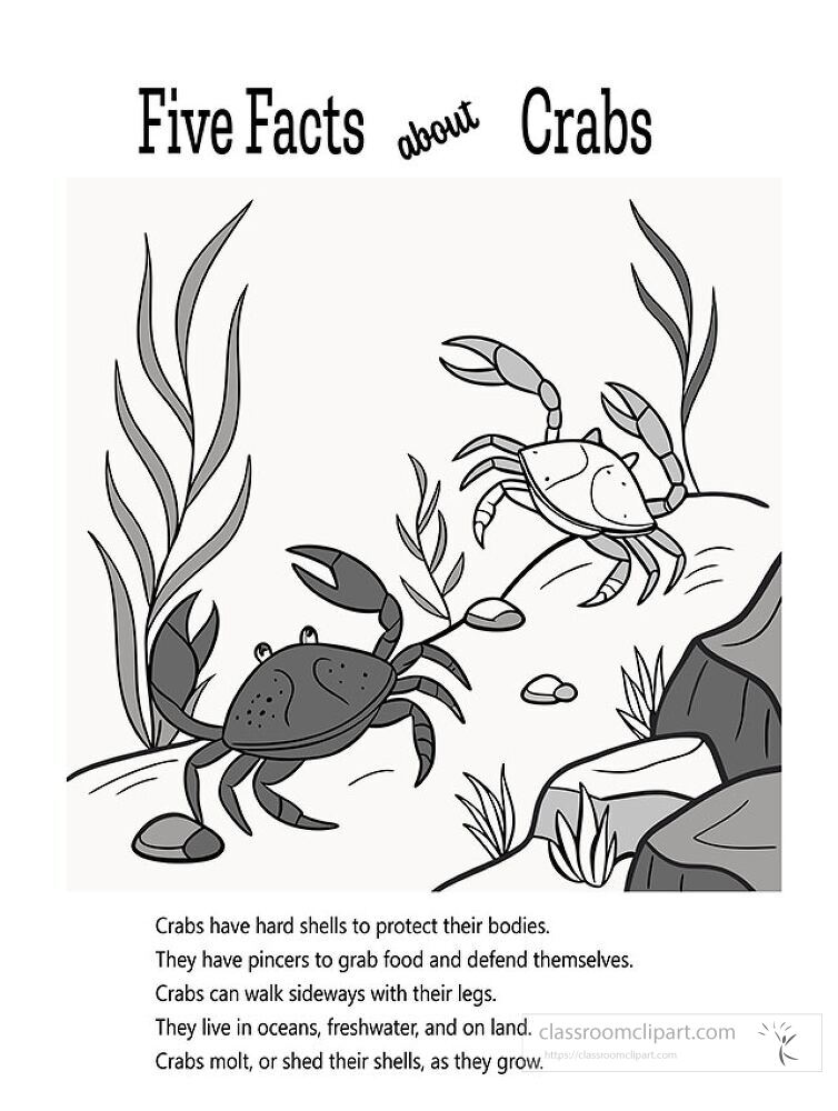 Enjoy a printable coloring activity featuring fun facts about crabs This engaging page presents two crabs in their aquatic environment perfect for learning and creativity