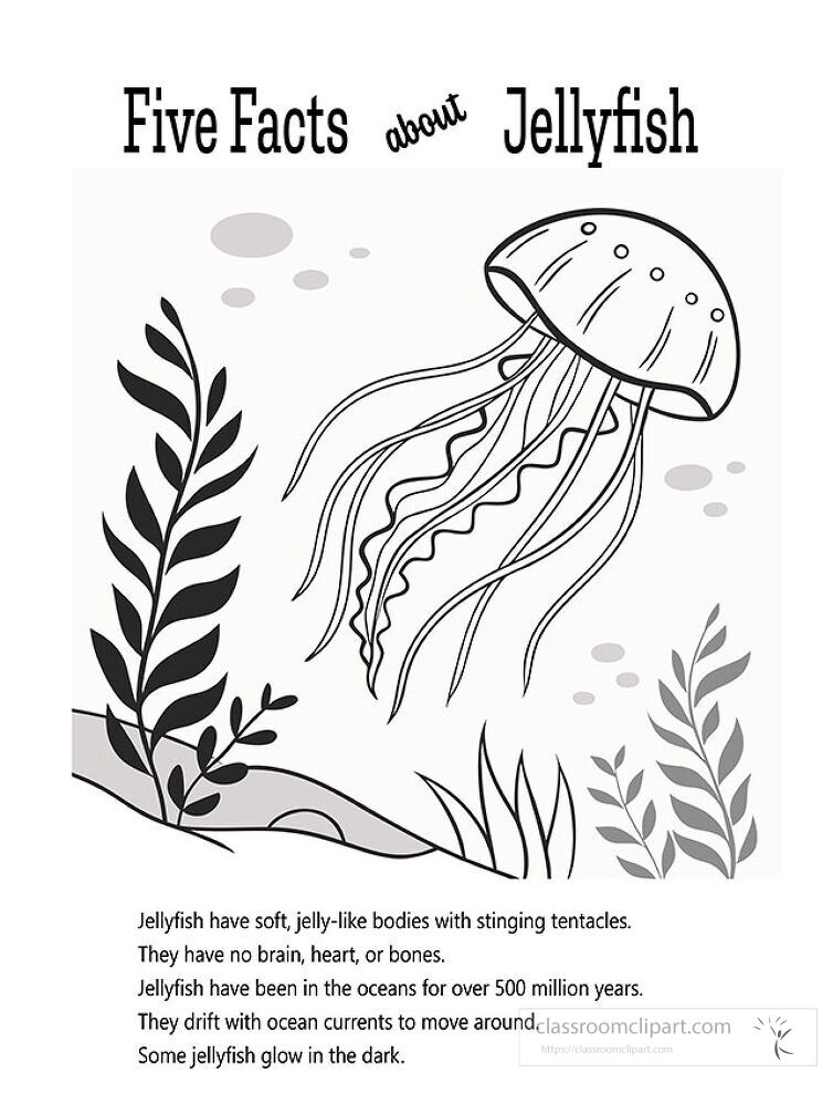 This printable features a jellyfish with stinging tentacles and five interesting facts about jellyfish Perfect for engaging childrens creativity and learning about marine life