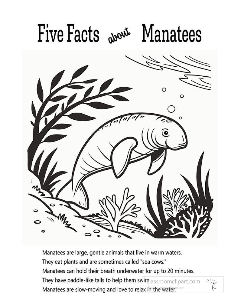 Engage kids with this fun and educational coloring printable featuring manatees Learn interesting facts while coloring the friendly sea creatures in their natural habitat