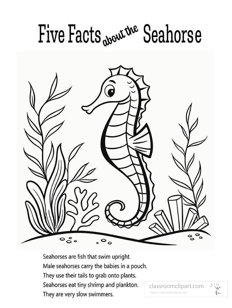 Enjoy a creative coloring activity featuring five interesting facts about seahorses Perfect for children and educational purposes while exploring marine life