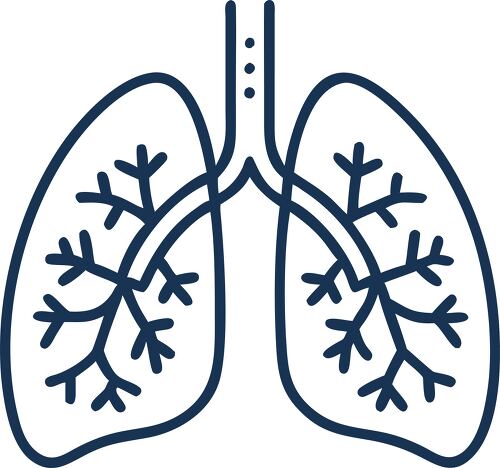 Stylized representation of healthy lungs promoting respiratory health awareness.