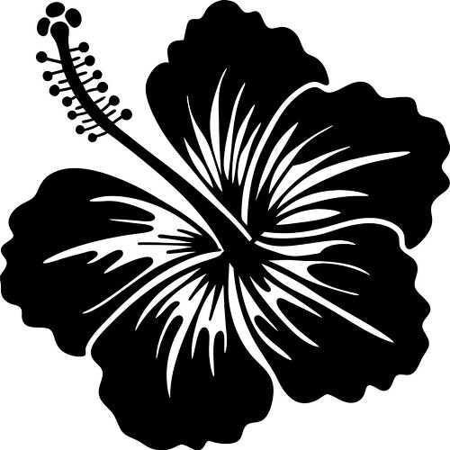 Bold black silhouette of a hibiscus flower  with its unique form