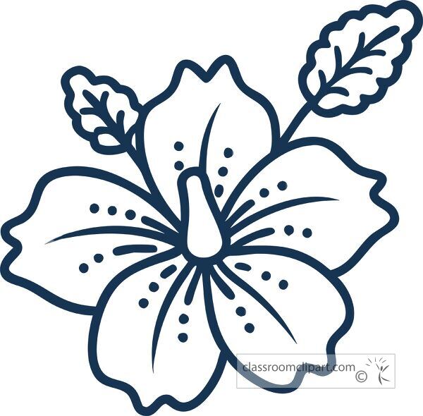 hibiscus line icon suitable for tropical themed