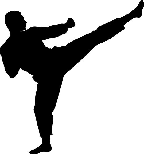 Karate practitioner performs a dynamic kick in silhouette