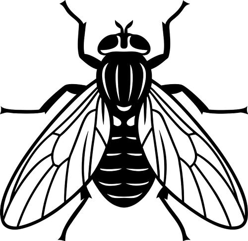 Detailed housefly silhouette for artistic purposes