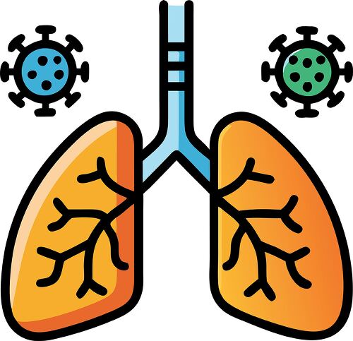 An illustration of human lungs with a stylized design, featuring branching bronchi and alveoli