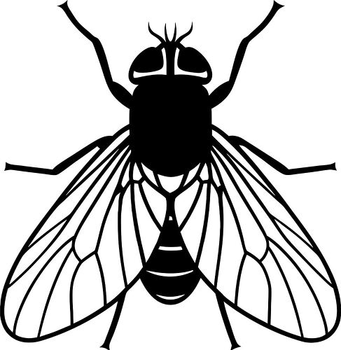 Detailed black silhouette of a large fly ideal for designs