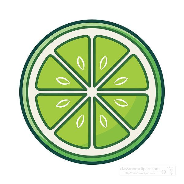 fresh lime slice cut in round shape showing bright green segments and seeds