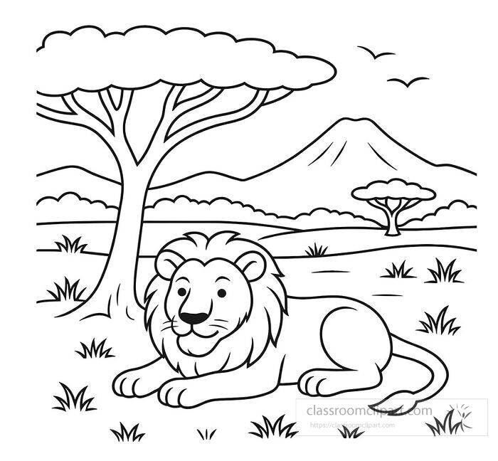 coloring page of a lion resting under an acacia tree in the African savanna