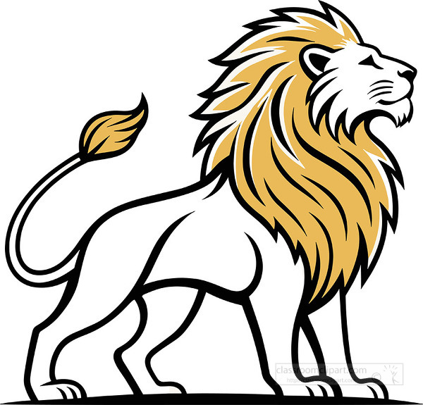 Strong lion with golden mane standing proudly and looking forward