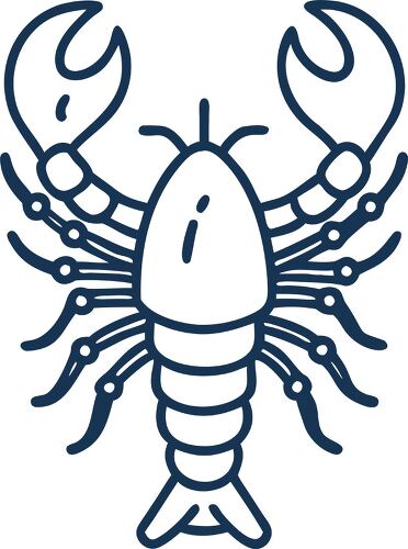 A basic line drawing of a lobster showcasing its features.