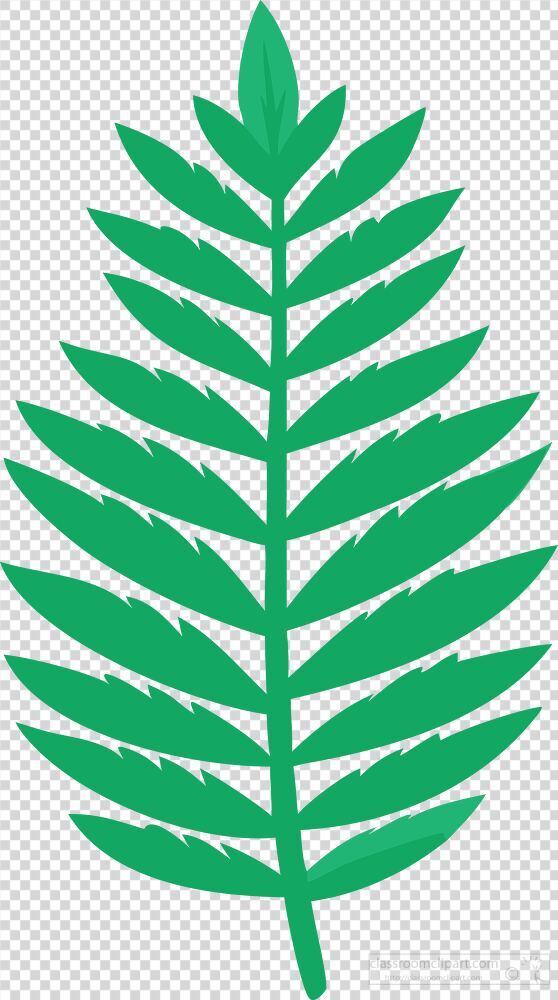 A vibrant and stylized representation of a fern leaf showcases detailed serrated edges and rich green hues, celebrating the beauty of nature