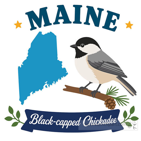 maine black capped chickadee state bird with map