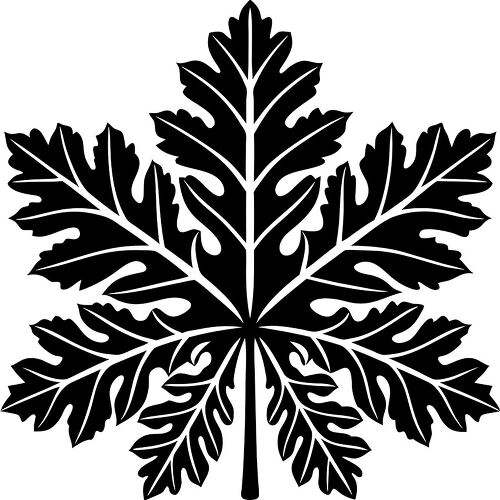 A detailed silhouette of a maple leaf against a plain background