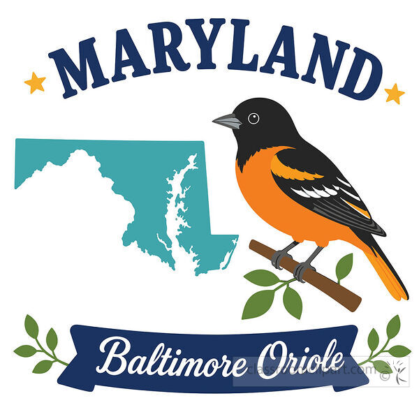 Maryland state bird image with a teal state map a Baltimore oriole a branch leaves and a blue name banner