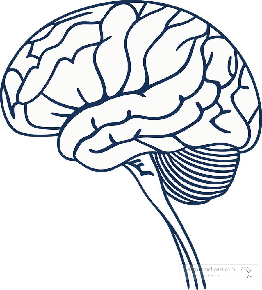 A modern flat design illustration features a human brain in a simplistic style The design emphasizes the brains anatomy with clean lines and minimal detail