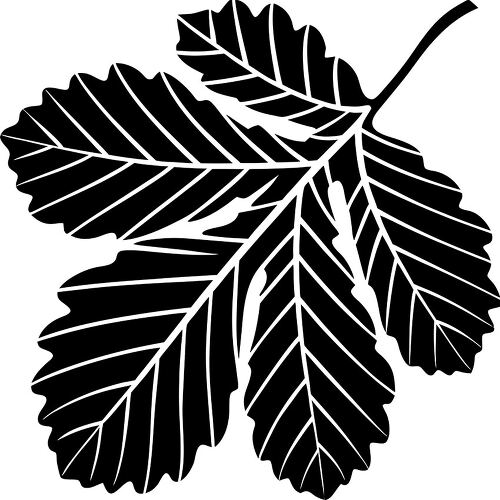 A black silhouette of an oak leaf with detailed veins and edges