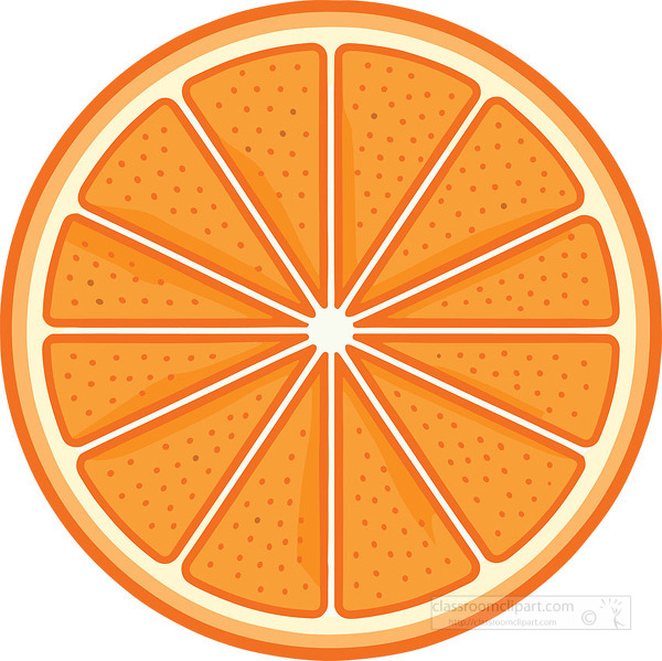 Bright orange slice with detailed fruit segments and a circular shape