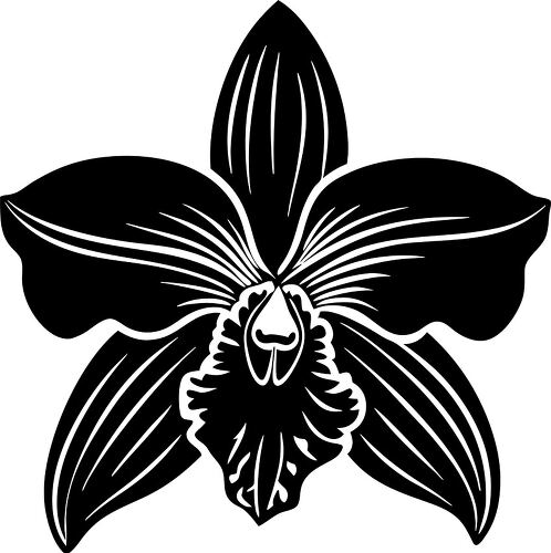 orchid, silhouette, floral, nature, beauty, plant, design, elegance, black, illustration, decoration, garden