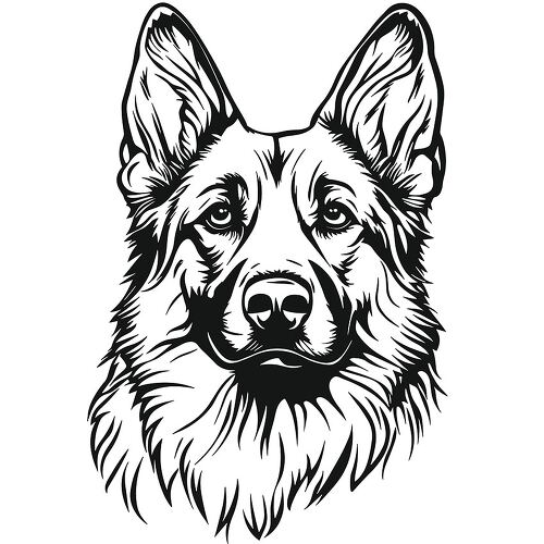 A detailed black outline drawing of a German Shepherd face