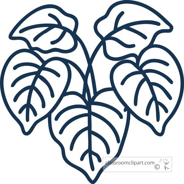 simple line drawing of a philodendron plant