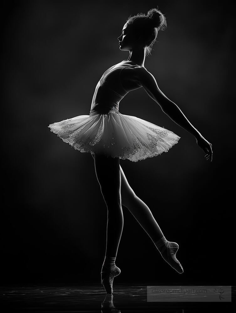 A female ballet dancer exhibits grace and strength mid pose in a high contrast black and white display. Studio lighting enhances her silhouette and showcases fluidity and athleticism.