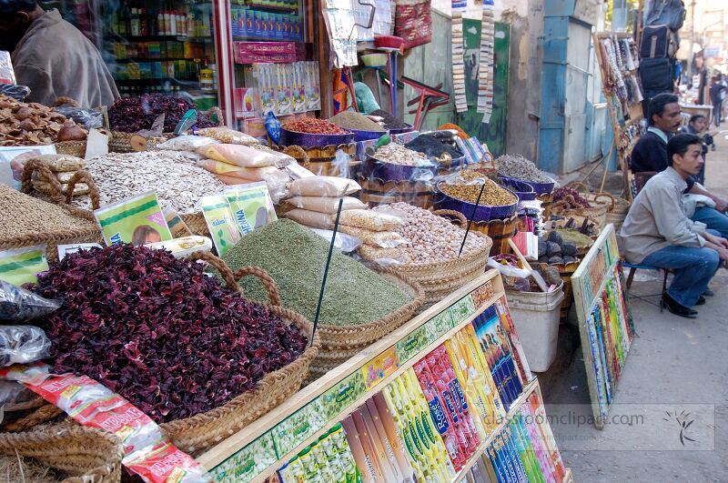 Vibrant market in Aswan showcases an array of spices and herbs displayed in woven baskets Vendors engage with shoppers adding to the lively atmosphere of this traditional marketplace