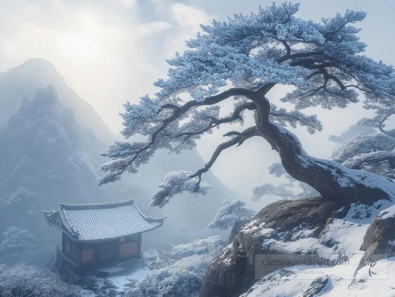 Snow laden trees stretch toward the sky in a misty atmosphere, with sunlight breaking through clouds.