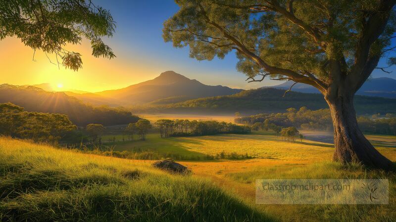 Golden sunlight spills over rolling hills in Murwillumbah, illuminating lush greenery and casting a warm glow. Tranquility envelops the landscape as day transitions to night.