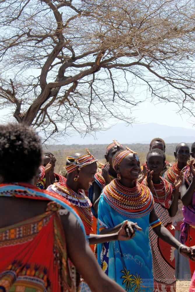 Women from the Samburu tribe in Kenya participate in a lively cultural dance under a sparse tree showcasing their vibrant attire and intricate beadwork The atmosphere buzzes with energy as they celebrate their heritage and community spirit