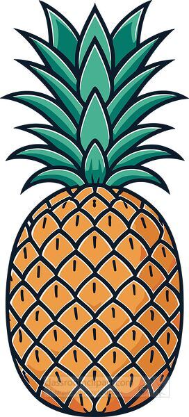detailed vector illustration of a ripe orange-yellow pineapple with green leaves