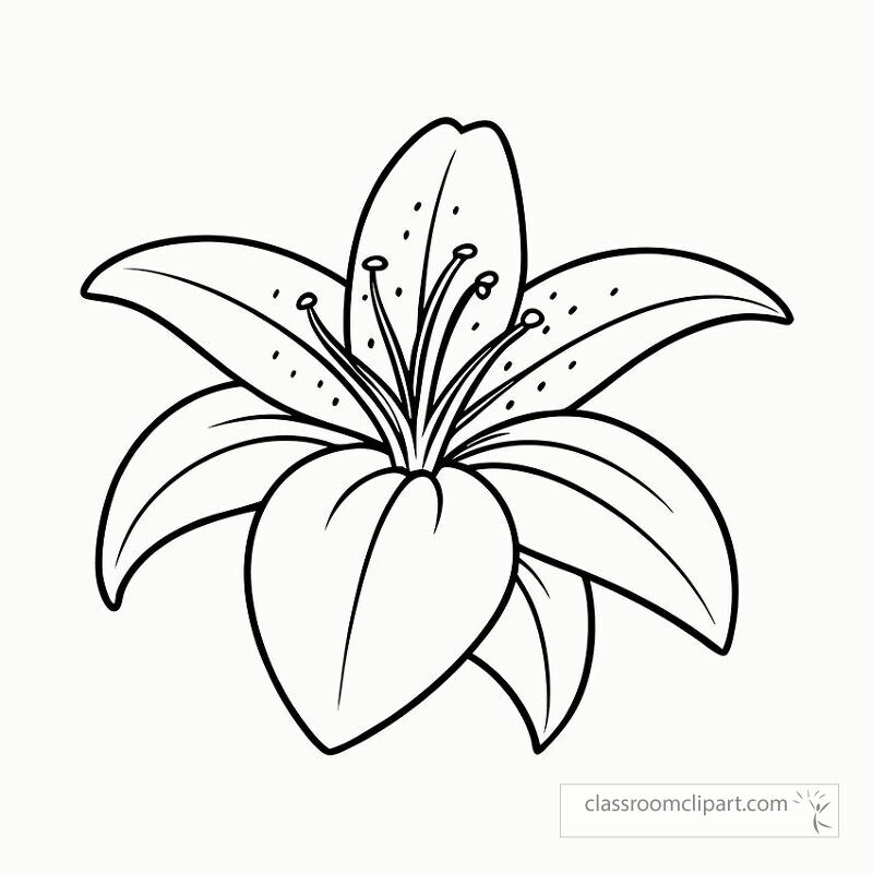 This black outline features a beautifully detailed lily flower. Ideal for coloring or craft projects the design captures the intricate shape and structure of the petals and stamens.