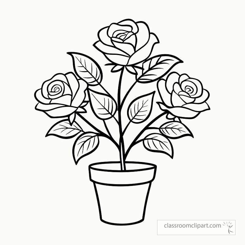 This printable features a black outline of a rose plant with three blooms and detailed leaves designed for coloring or crafting purposes. Ideal for art projects or decorations.