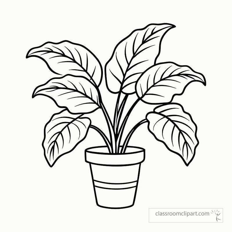 Detailed black outline drawing of a calathea plant in a pot. Ideal for coloring activities or decoration projects focused on nature themes.