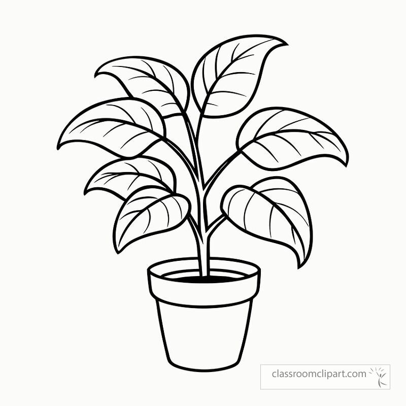 This black outline features a rubber plant with detailed leaves and a simple pot. Perfect for coloring or crafting projects. Ideal for art enthusiasts and plant lovers alike.