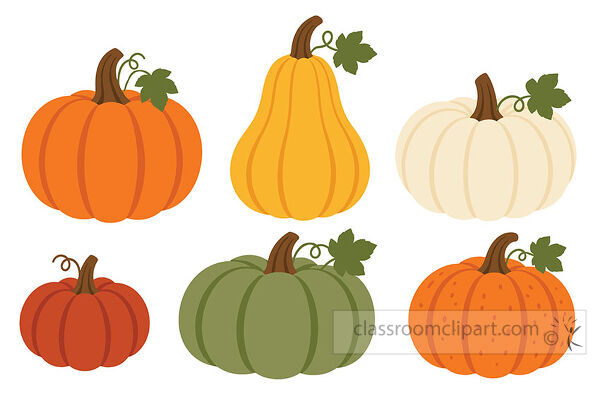 Six pumpkins and gourds in orange yellow cream red and green with stems vines and leaves for fall harvest use