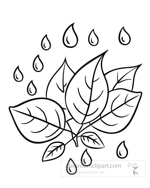 Enjoy a relaxing coloring page of leaves filled with rain coloring page